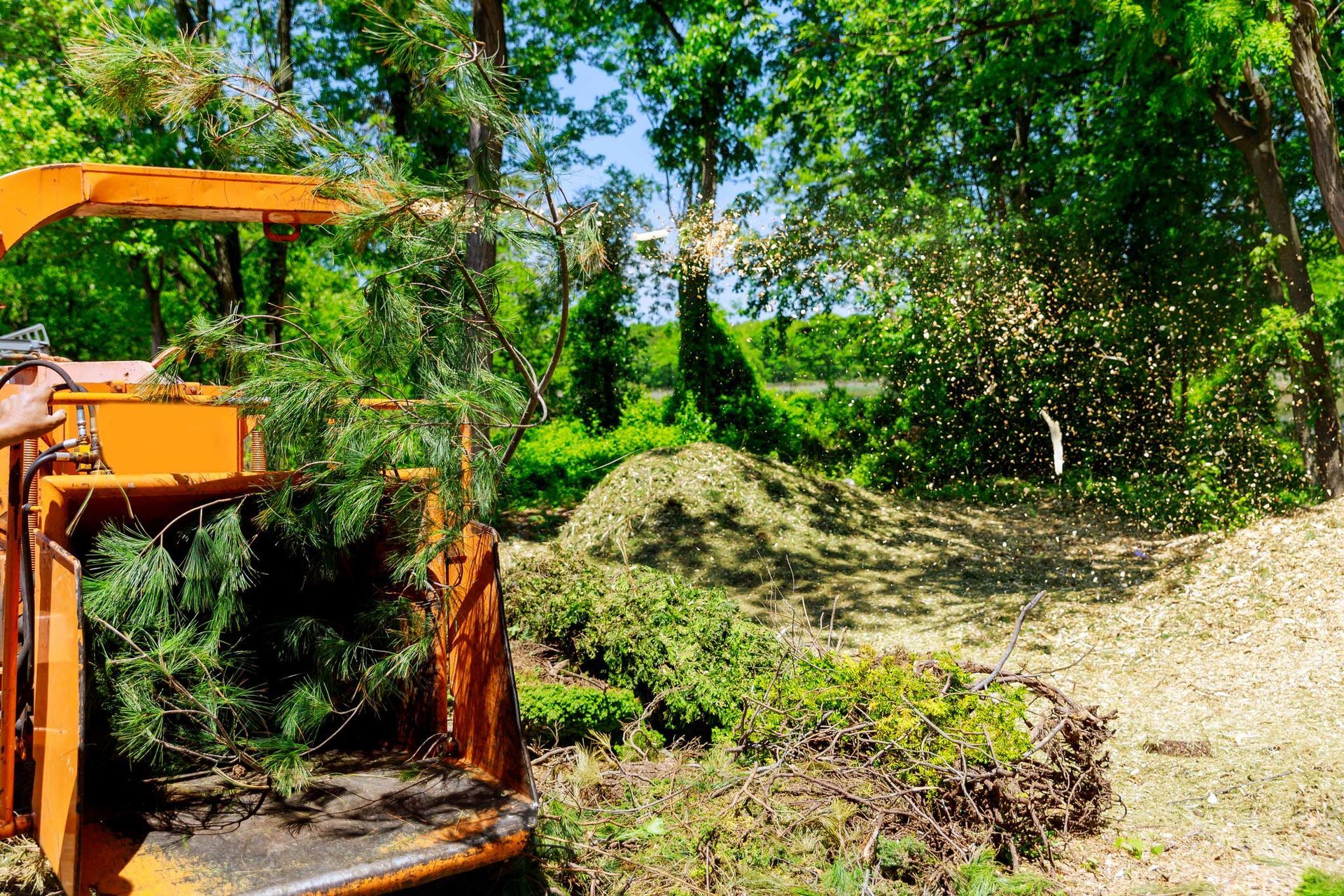 Wood Chipper Blowing Tree Branches — Holland, MI — Steve & Trav's Tree Works