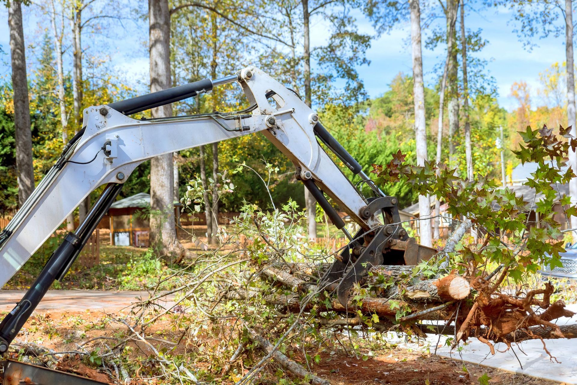 Skid Steer Tractor Aids in a Tree Clearing — Holland, MI — Steve & Trav's Tree Works Skid Steer Tractor Aids in a Tree Clearing — Holland, MI — Steve & Trav's Tree Works