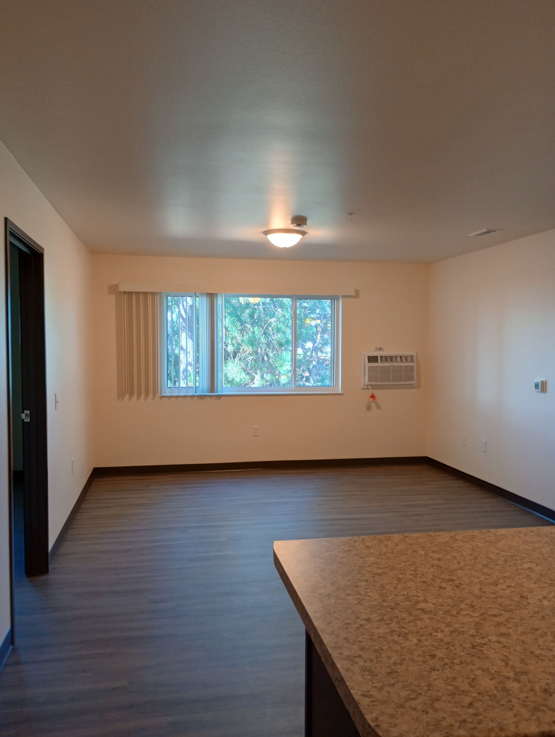 1409 Finley Street standard living room