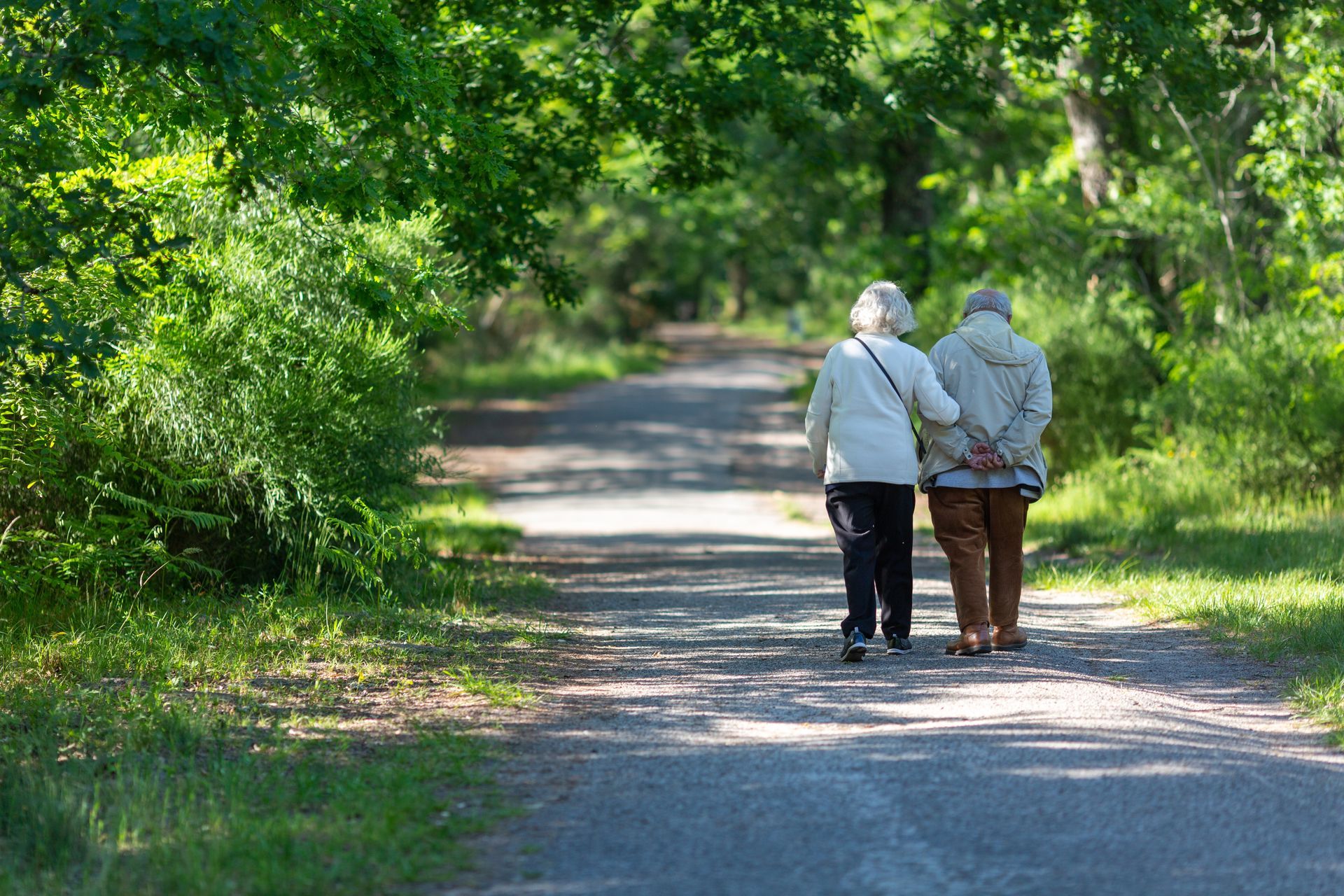 Two people walking along a sunlit gravel path surrounded by green trees and bushes