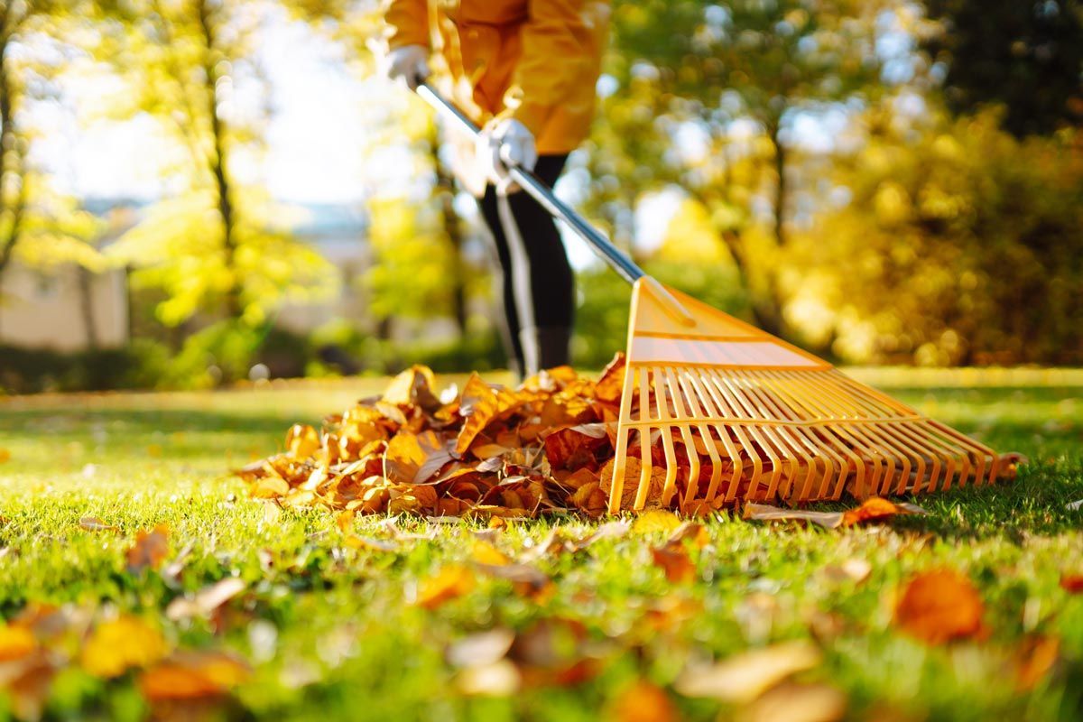 Cleaning Up Autumn Fallen Leaves — Wexford, PA — Fischer Services, Inc.