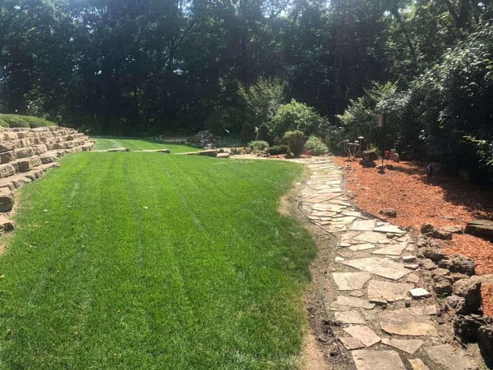 There is a stone path going through a lush green field.
