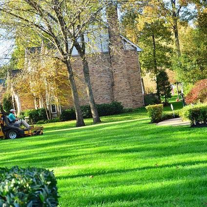 A man is riding a lawn mower on a lush green lawn.