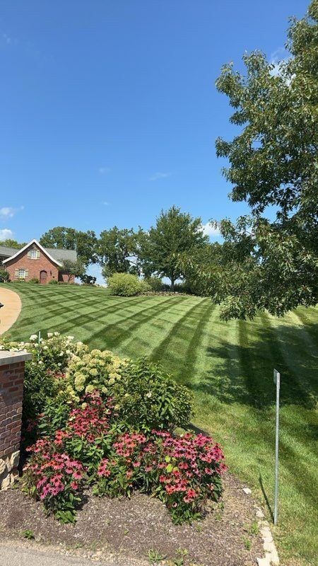 A lush green lawn with a house in the background and flowers in the foreground.