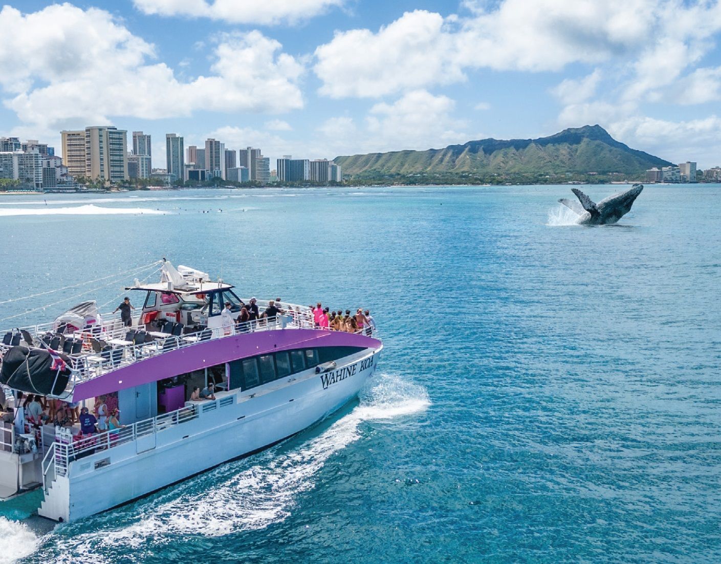 Waikiki Whale Watching