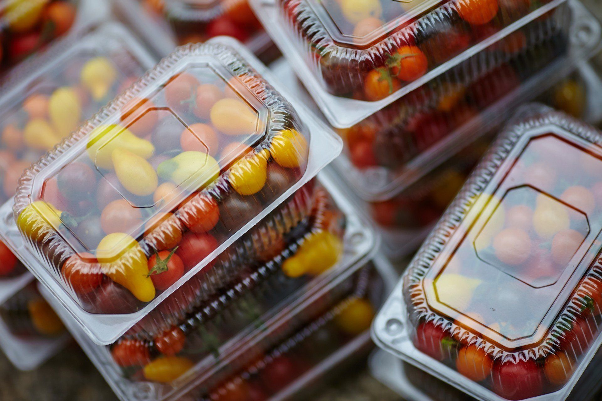 contenitori in plastica alimenti Torino