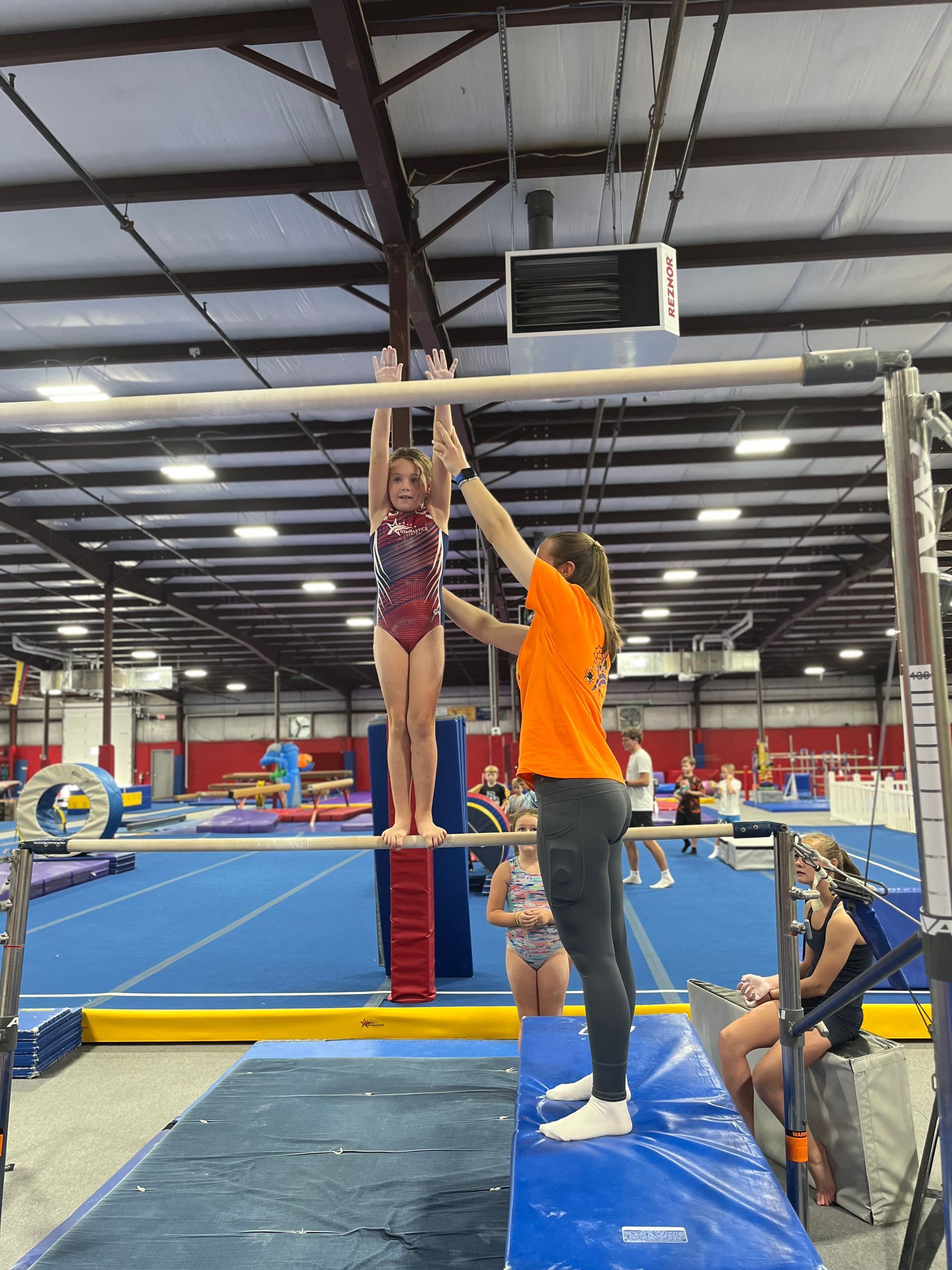 A female gymnast is standing on a balance beam.