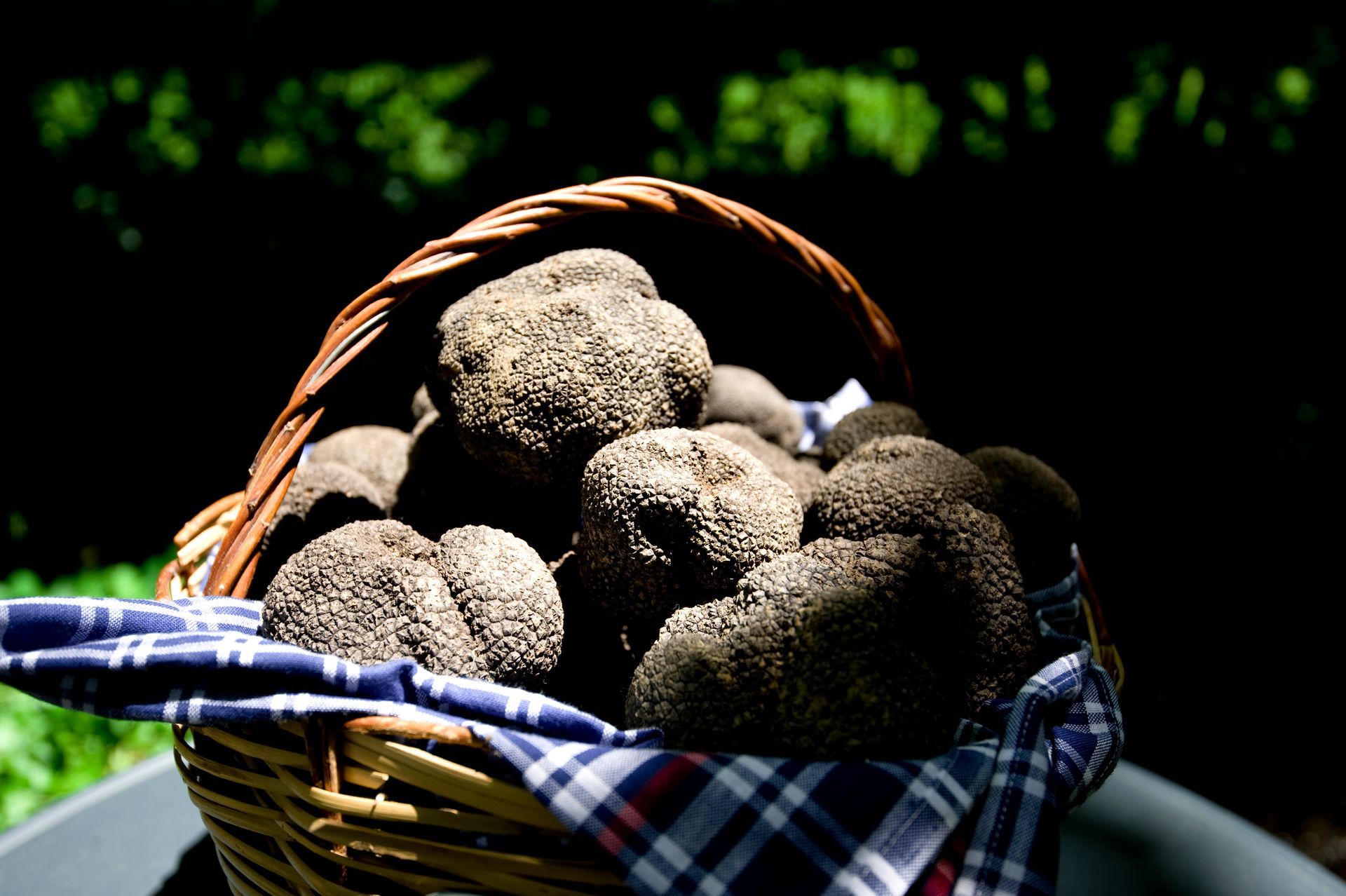 tartufi molisani