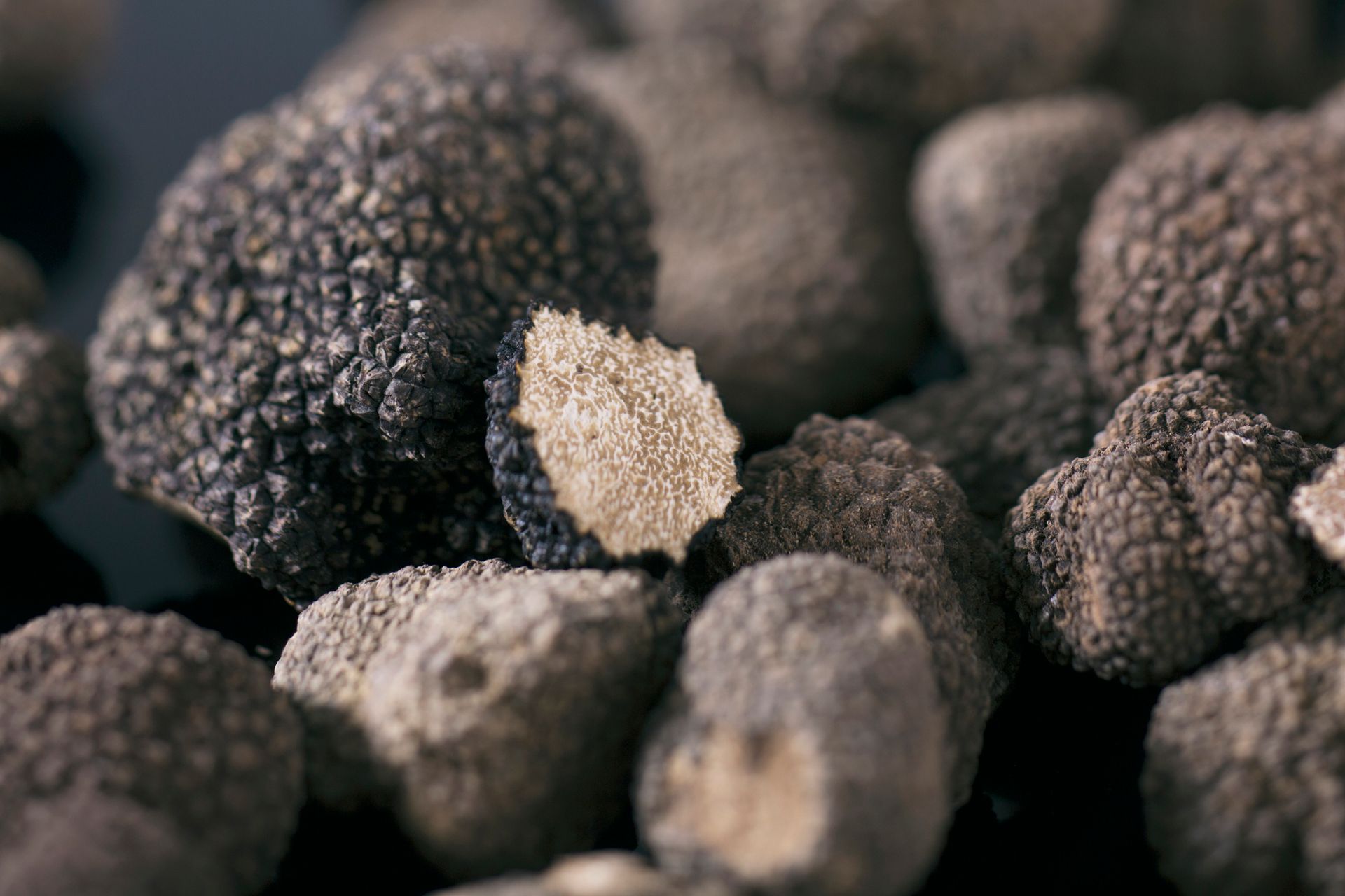Tuber Aestivum Vittadini di Costy Tartufi