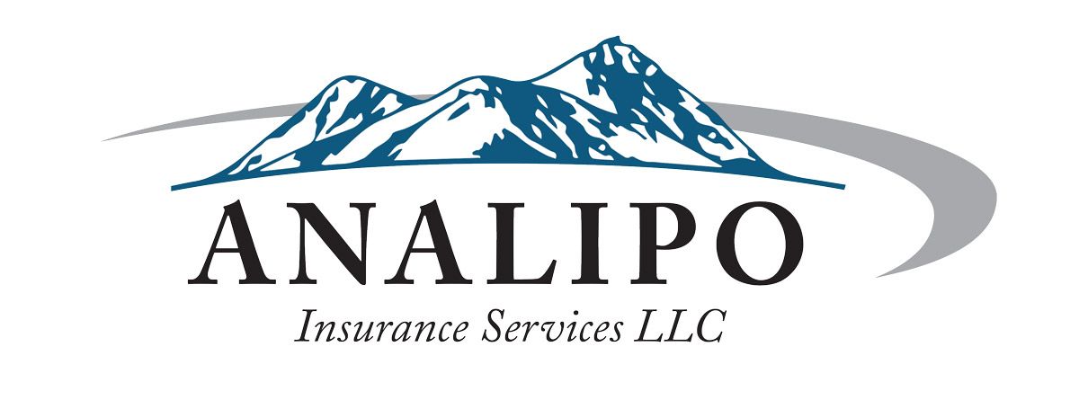 Analipo Insurance Services LLC logo with blue swoosh over black text