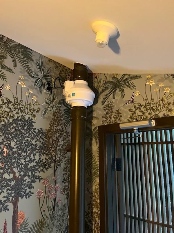 A ceiling fan is hanging from the ceiling in a room with a floral wallpaper.