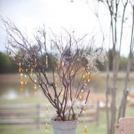 Bare tree branches in a pot with warm string lights, set outdoors near a blurred fence and trees.