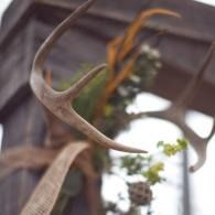 Close-up of a dried plant stem with a curled leaf, hanging indoors near a window.