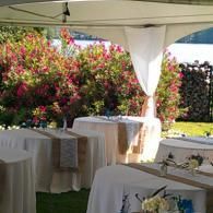 Outdoor event tent with round tables, white linens, and pink flowering shrubs in the background