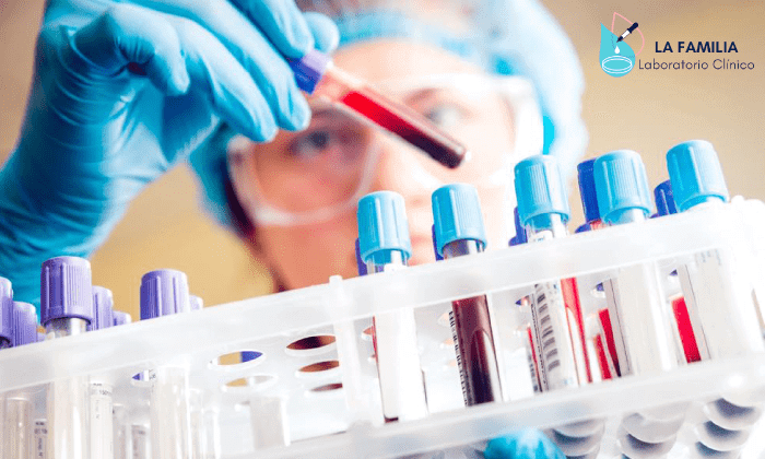 LABORATORIO MATUS