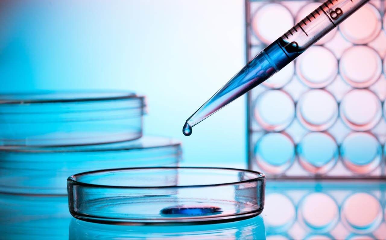 LABORATORIO MATUS