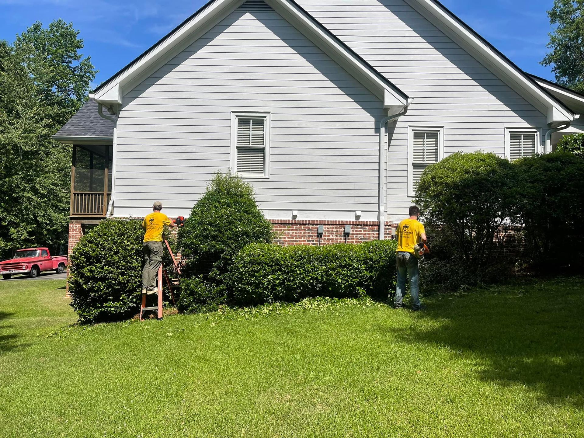 Two people wearing yellow shirts trim large bushes against the side of a white house on a sunny day.