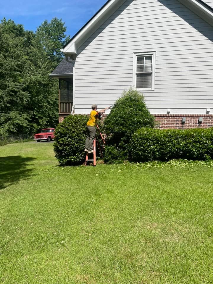 A person in a yellow shirt stands on a red ladder, trimming a large green bush next to a white house on a sunny day.