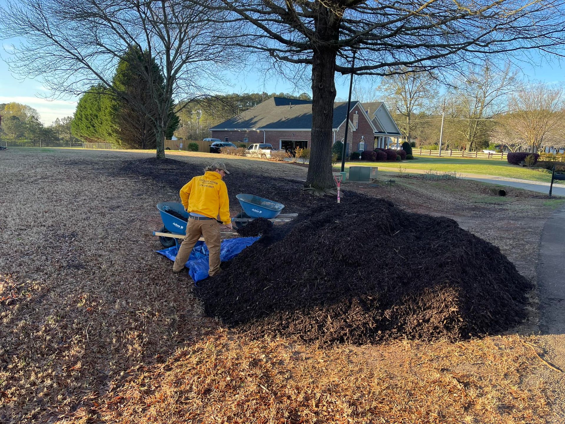 A person in a yellow jacket stands next to a large pile of dark mulch on a lawn covered in fallen brown leaves.