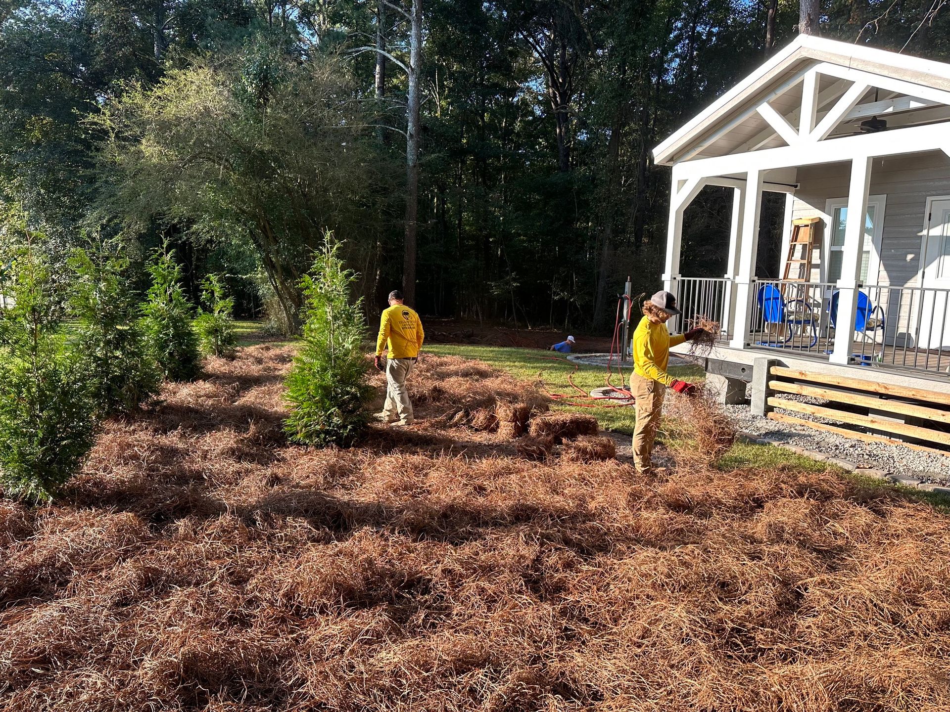 Two people in yellow jackets rake pine straw in a yard next to a white house with a porch.