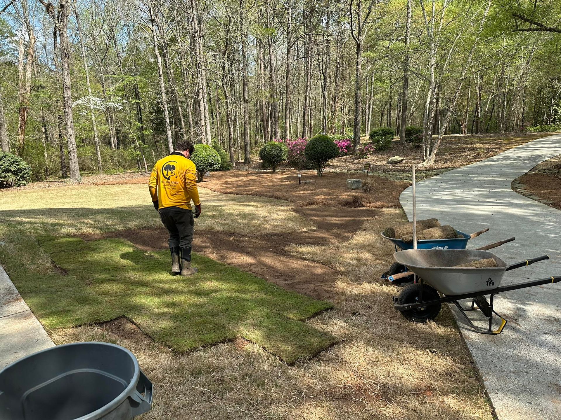 A worker in a yellow shirt lays sod on a dirt lawn next to a gravel path and two wheelbarrows in a wooded yard.