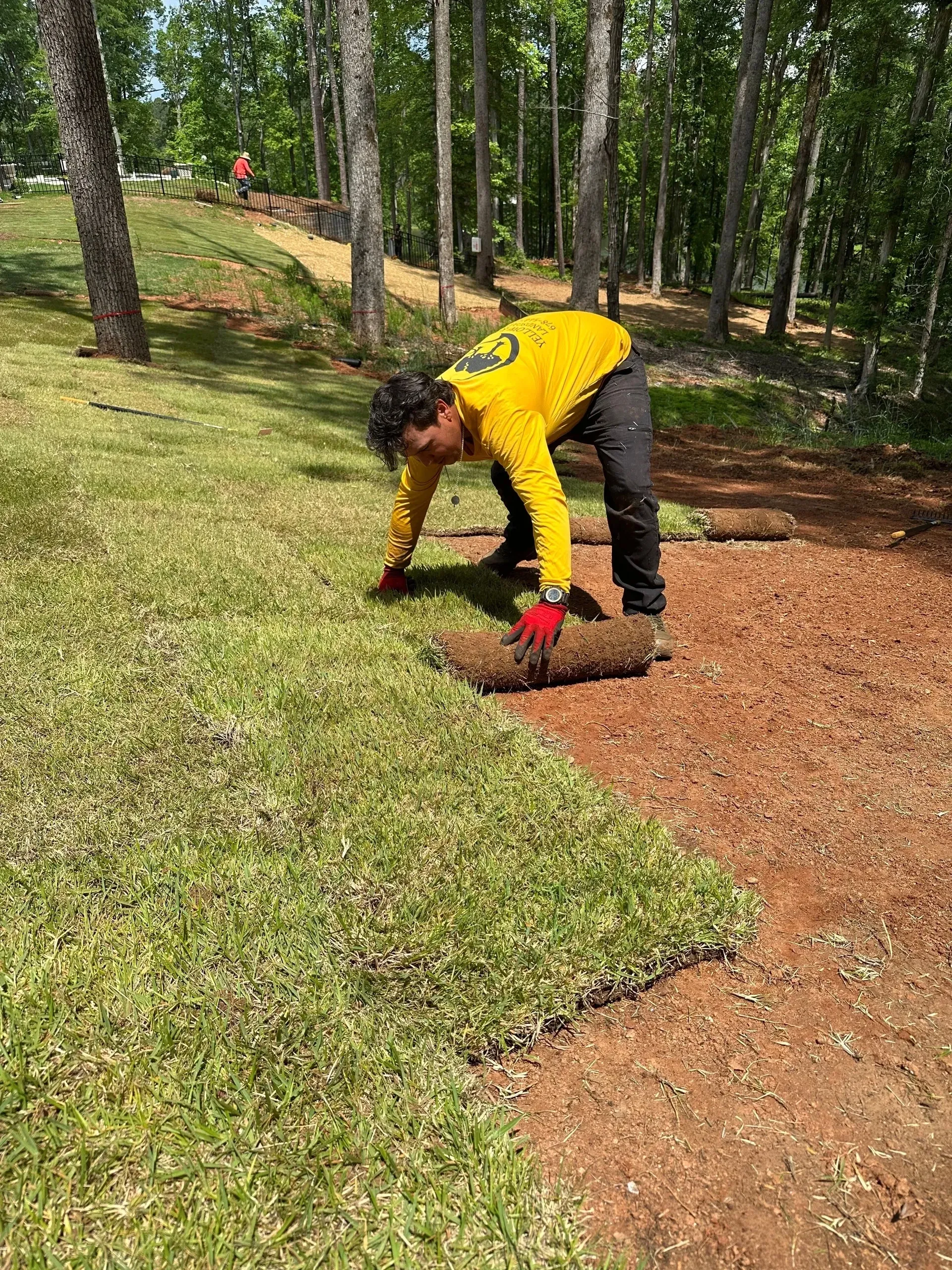 A person in a yellow shirt and red gloves lays rolls of sod on the ground in a wooded, sunlit area.