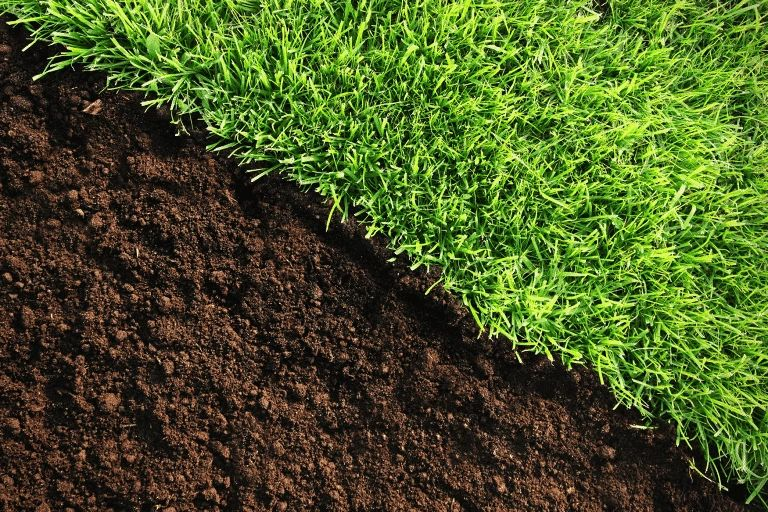 Soil on the left and bright green, lush grass on the right.