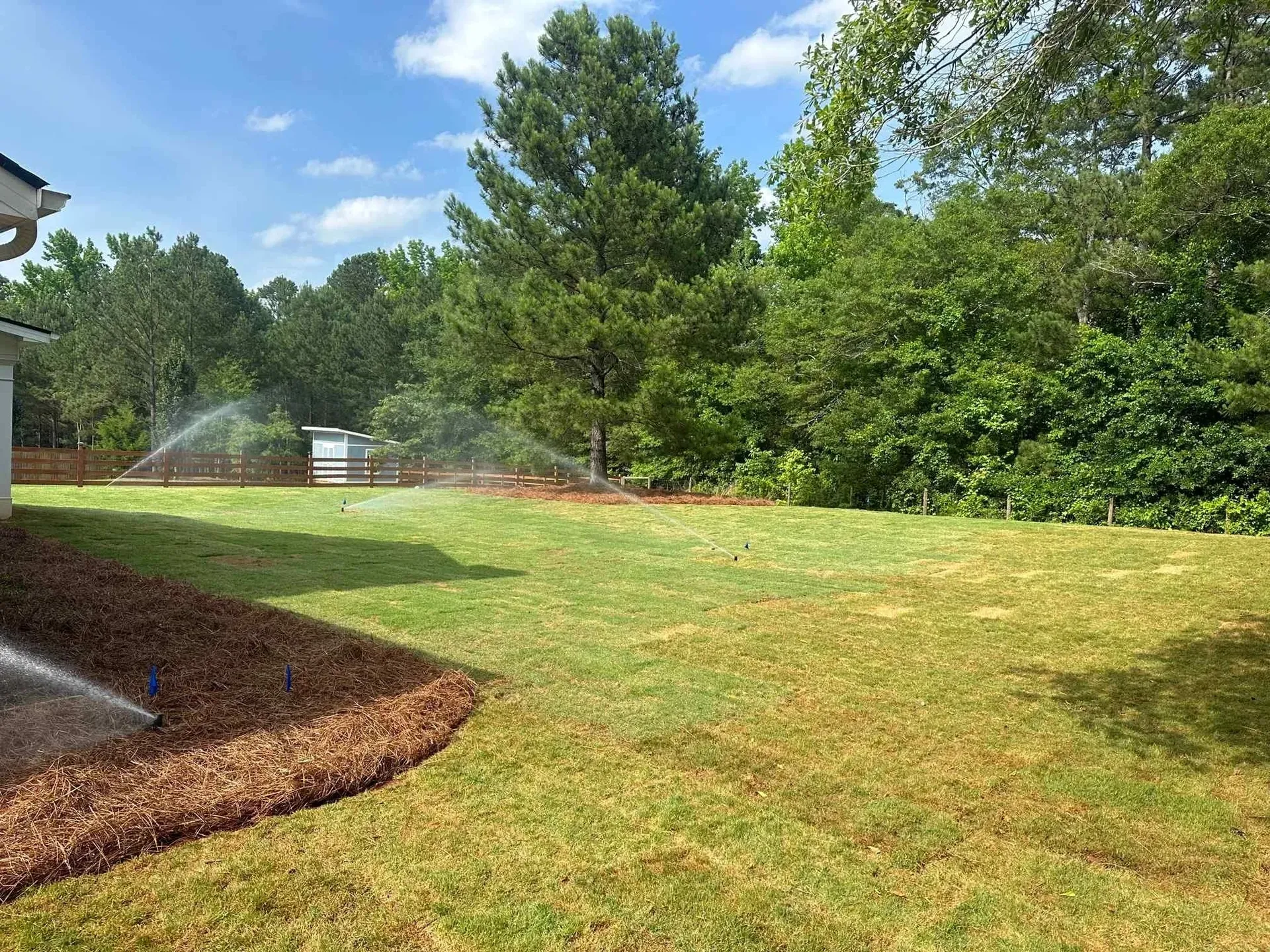 A lawn with patches of green grass and brown soil being watered by sprinklers under a blue sky with scattered clouds.
