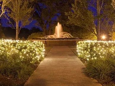 A path leads to an illuminated water fountain at night, flanked by bushes decorated with warm, glowing string lights.