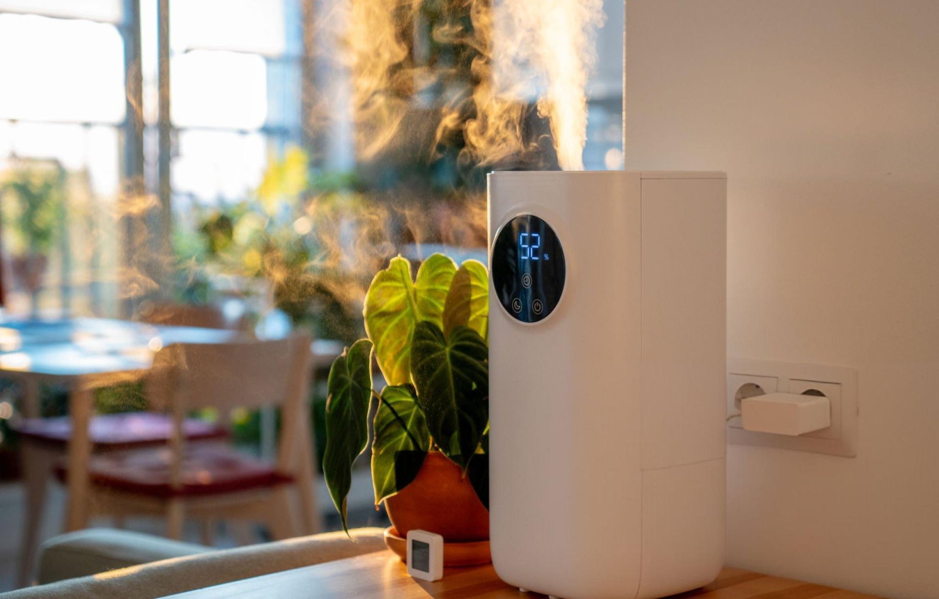 White countertop device beside a potted plant on a wooden table in a sunlit room