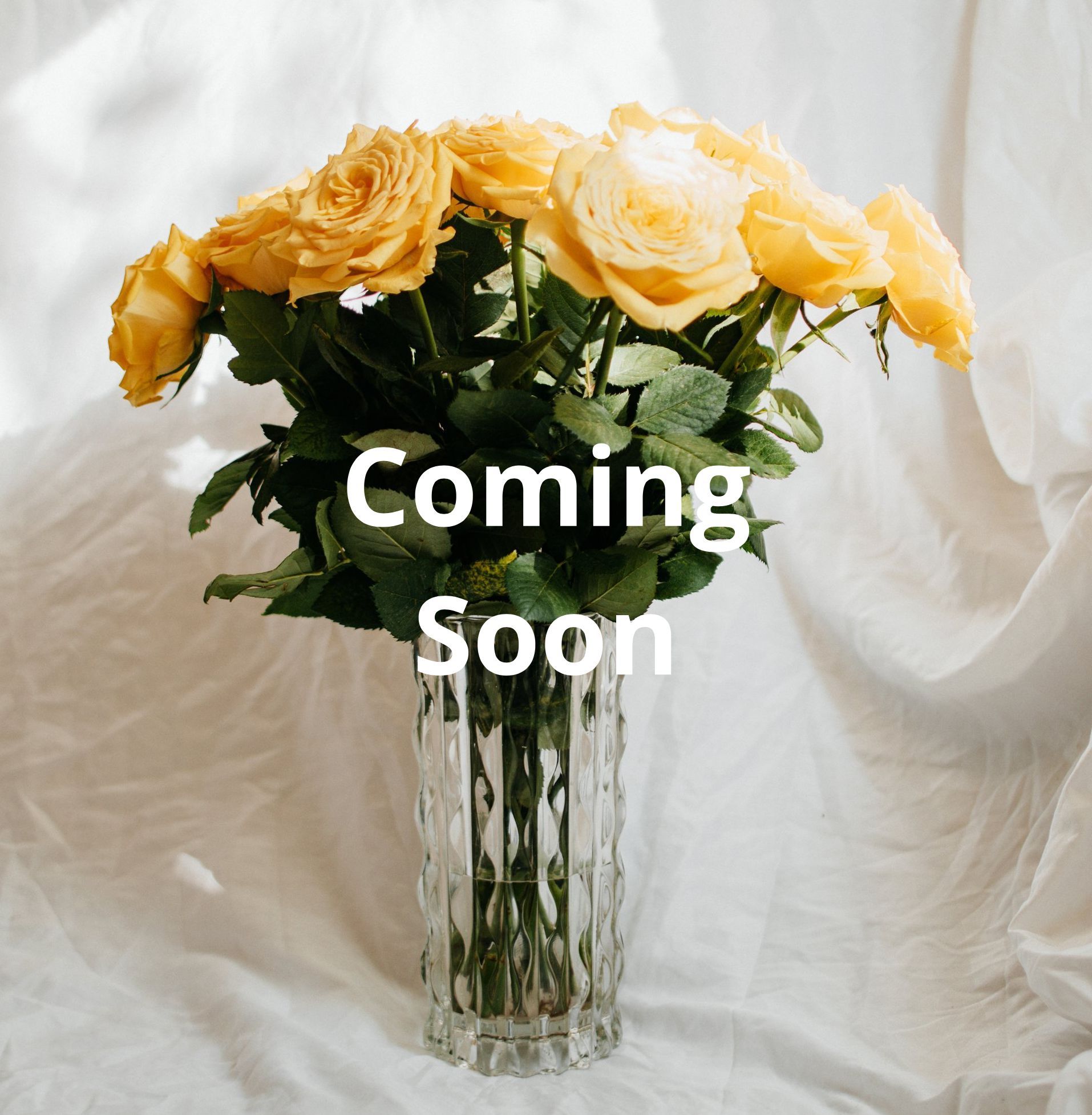 Roses in a vase, Bloom My House, DIY flowers