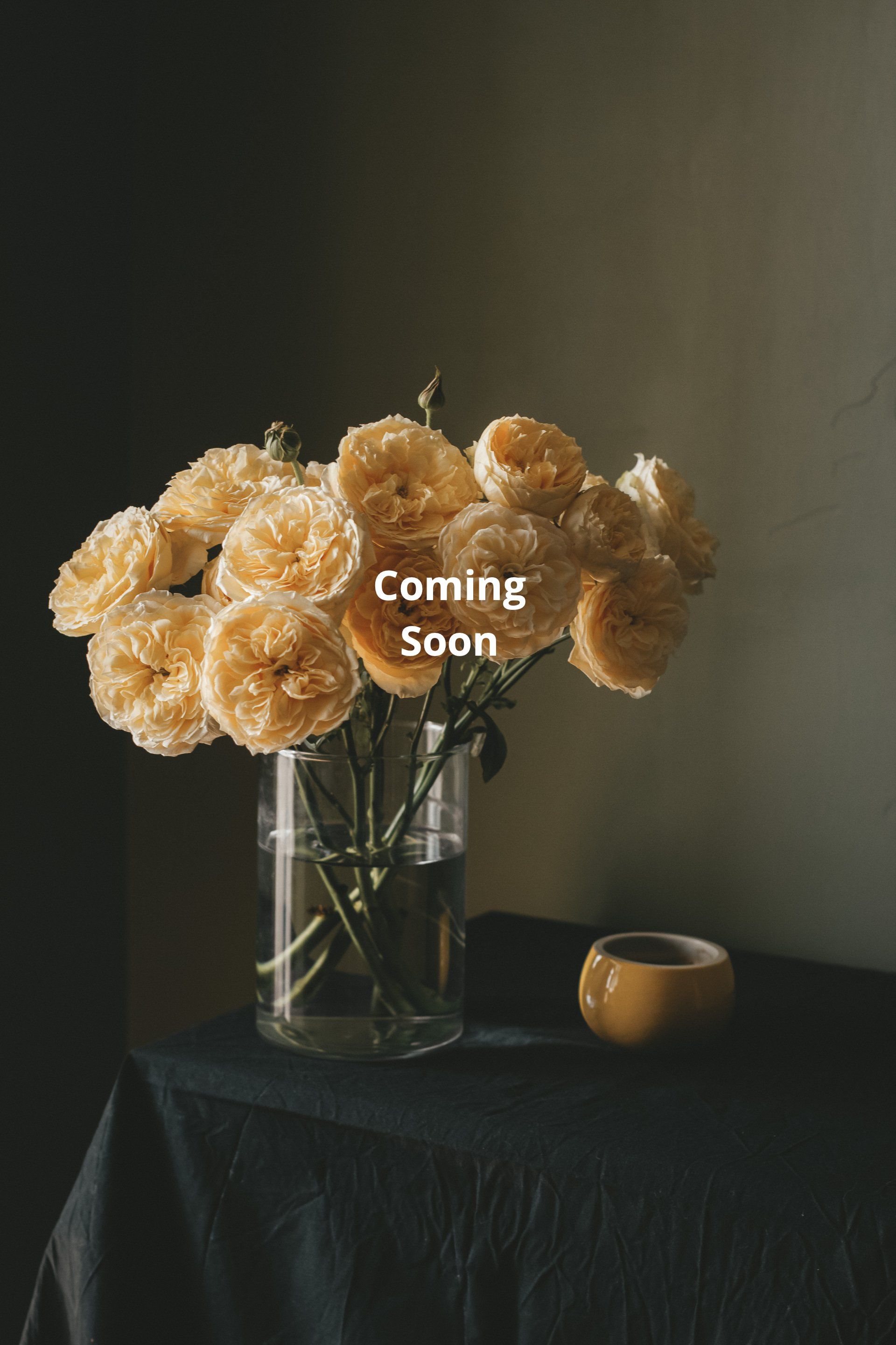 Shop Roses for your home , perfect for a DIY