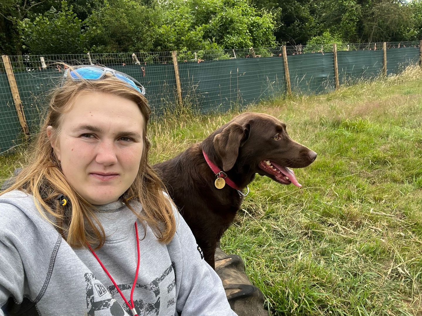 Dog walker chilling with a dog on a paddock play