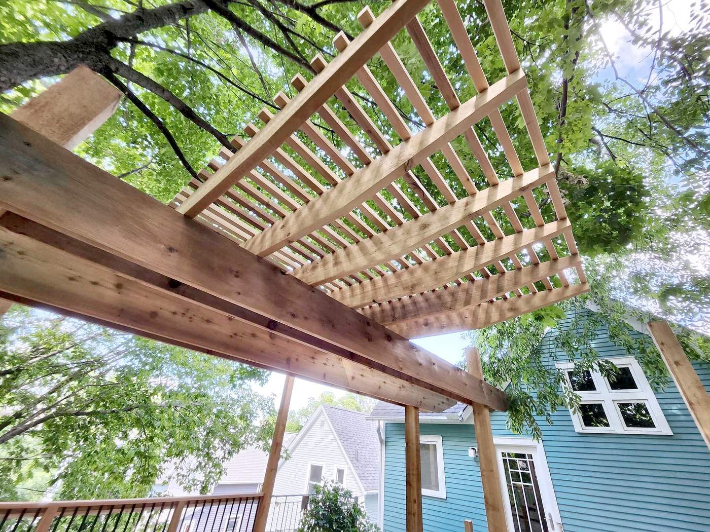 Rough sawn cedar pergola beams and rafters seen from below against the tree canopy.