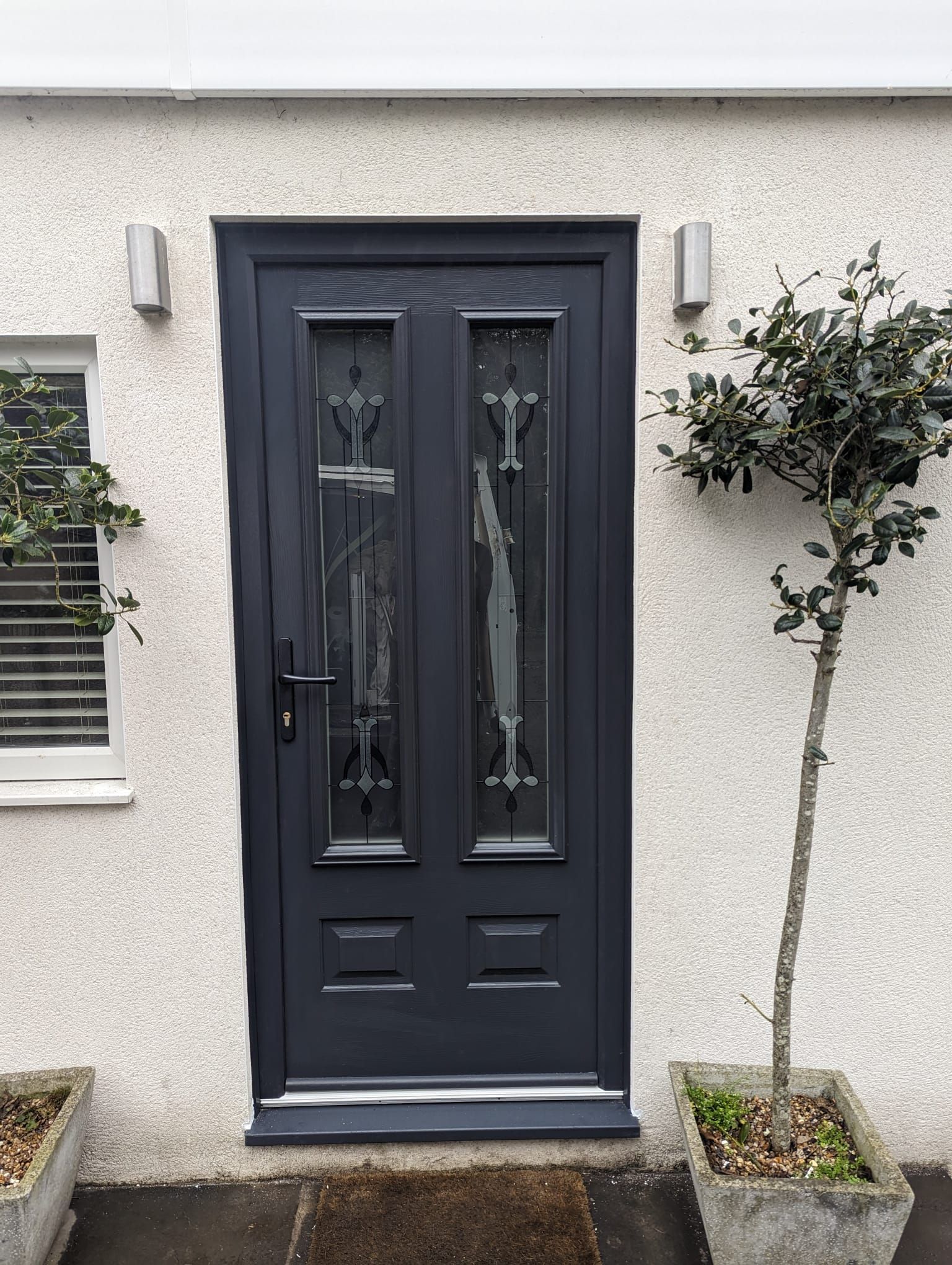 Black front door with glass panels and potted plants beside a light-colored house wall