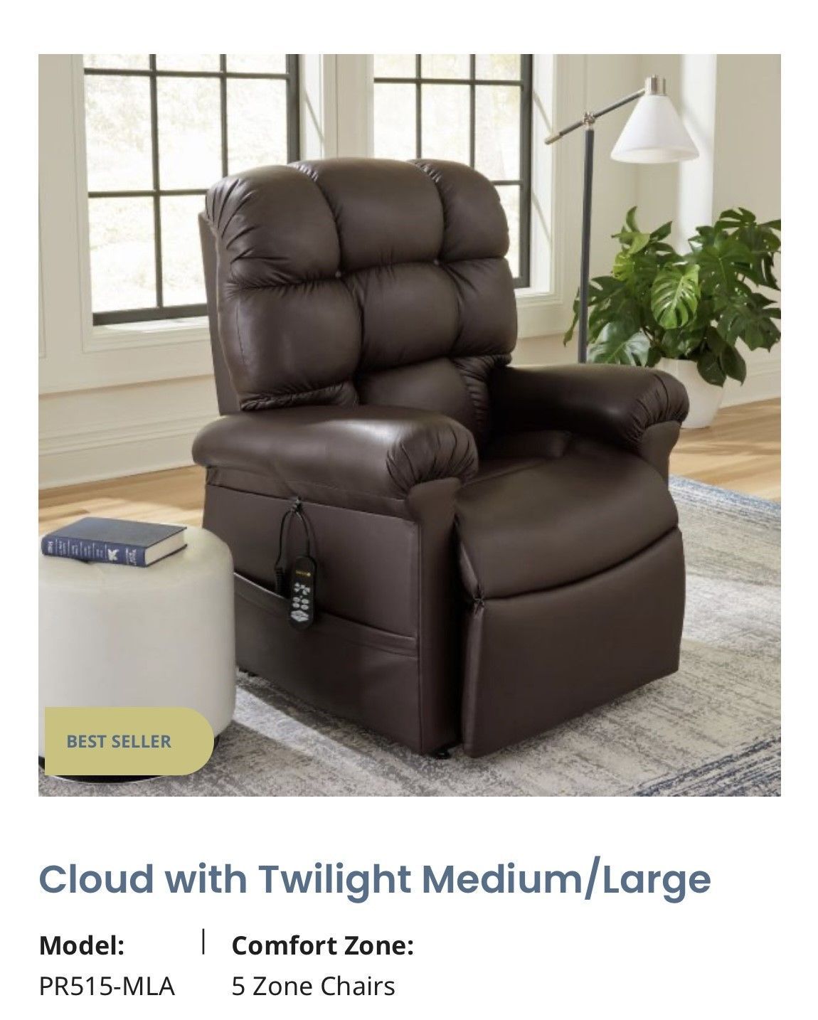 Brown leather recliner chair in a bright room with window, lamp, plant, and rug.