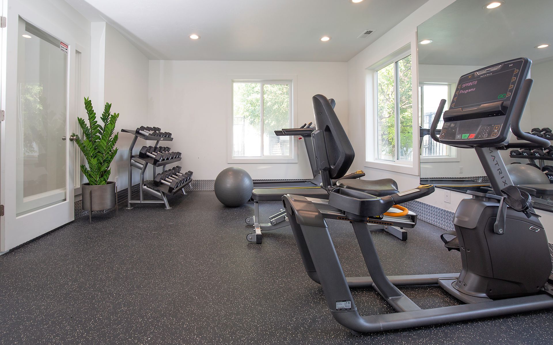 Modern home gym with treadmill, bench, exercise balls, dumbbells, and mirrored wall.