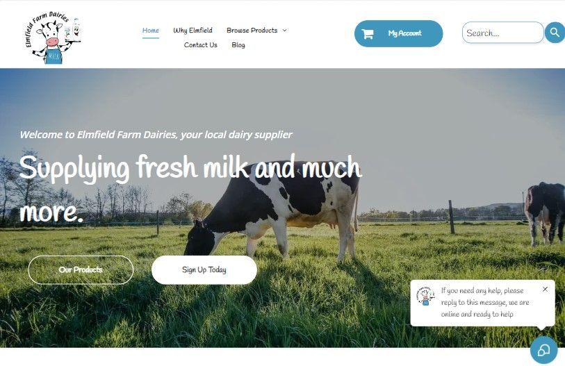 Dairy farm website homepage with cows grazing in a green field and headline “Supplying fresh milk and much more.”