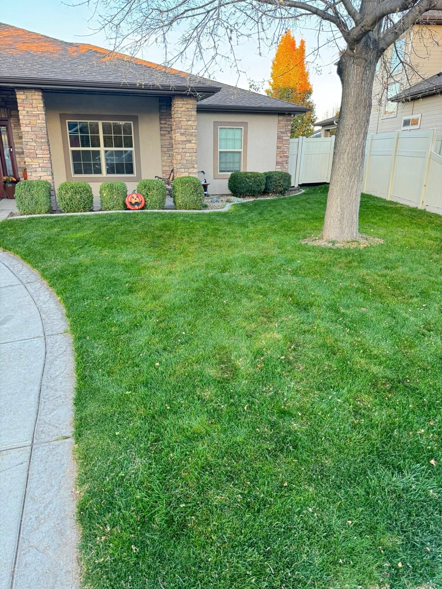 Front yard with green lawn, tree, curved walkway, and single-story brick house with windows and white fence.