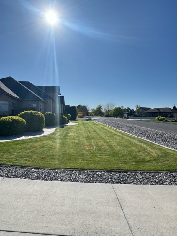 Sunny suburban street with manicured lawns, sidewalks, and houses under a clear blue sky