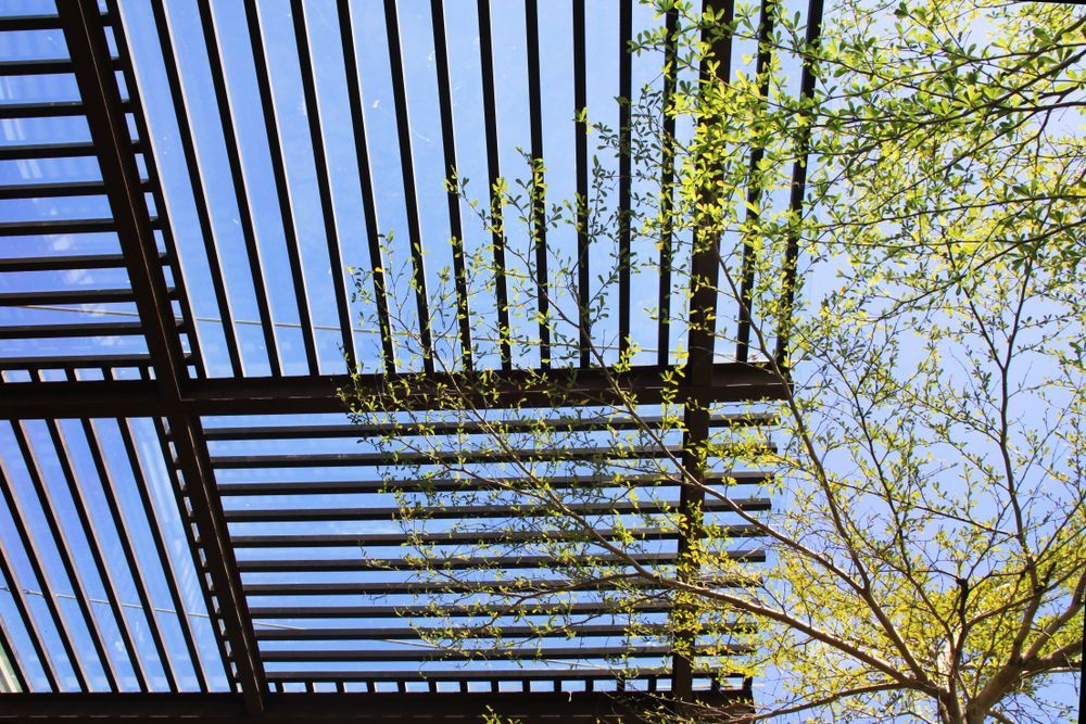 Dark Slatted Pergola Against a Blue Sky — The Gazebo and Shade Centre in Jindera, NSW