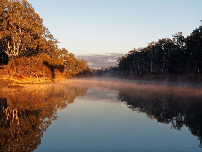 River at Sunrise, Trees Lining Both Banks — The Gazebo and Shade Centre in Corowa, NSW