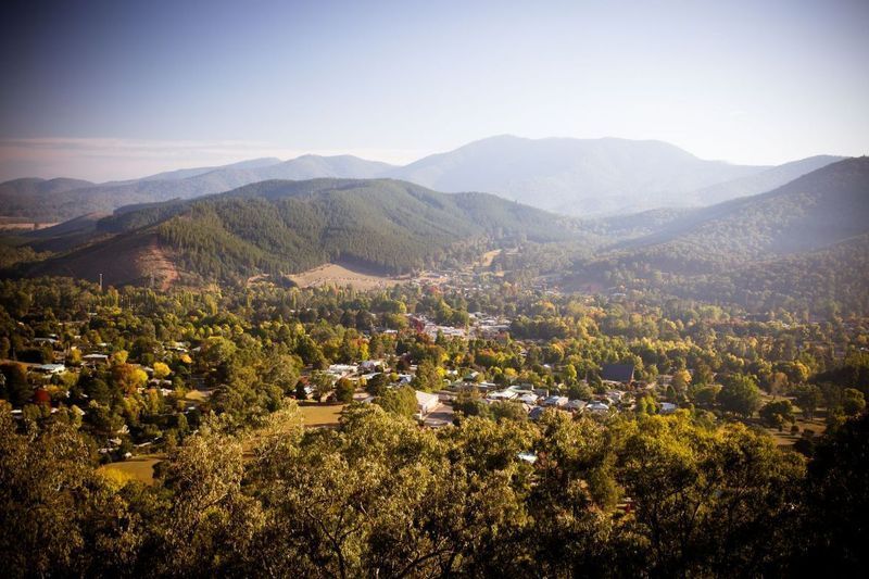 Overlooking a Valley With Lush Green Trees — The Gazebo and Shade Centre in Bright, VIC