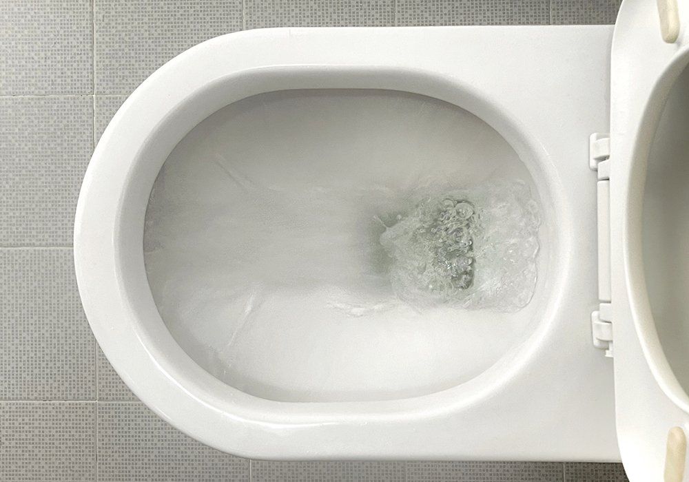Water Flushes Down Toilet Bow — El Paso, TX — Plumbers Drain Cleaning Water Flushes Down Toilet Bow — El Paso, TX — Plumbers Drain Cleaning