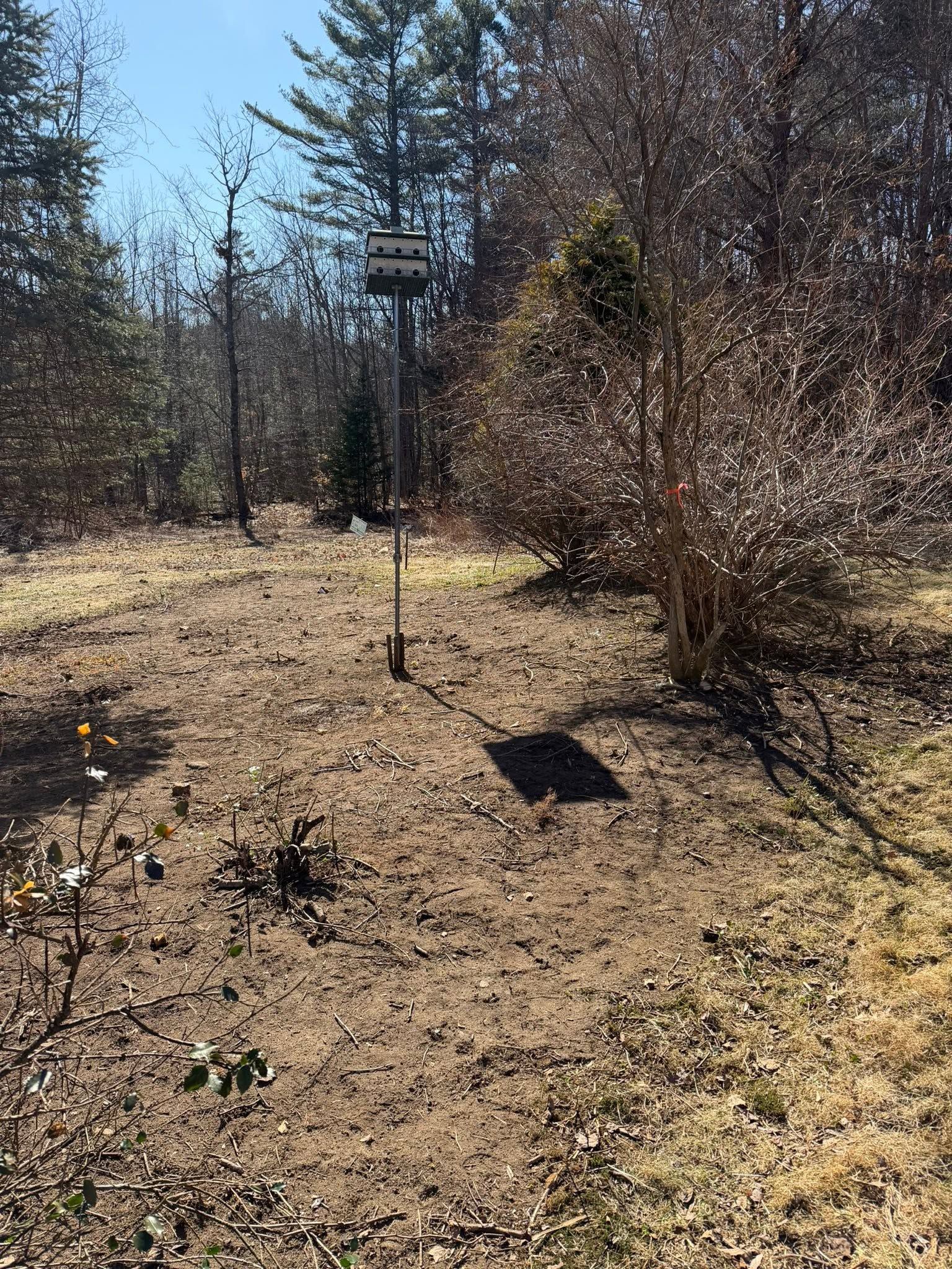 Dry wooded trail with a small signpost and sparse winter brush under bright sunlight