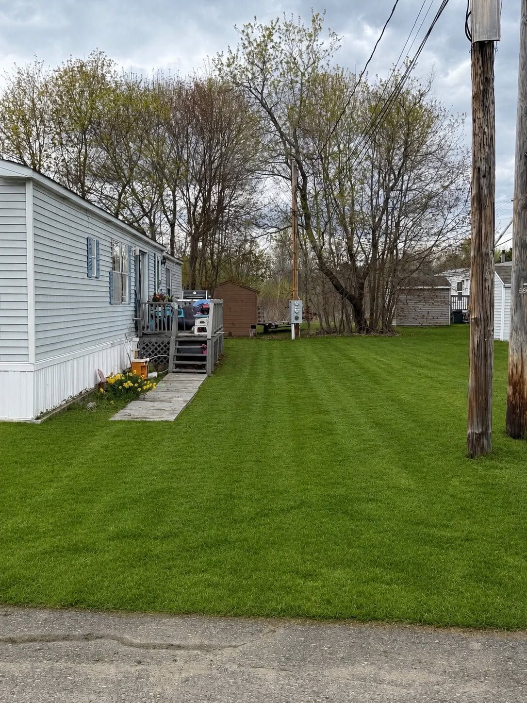 Mobile home yard with fresh green grass, a small porch, trees, and a utility pole