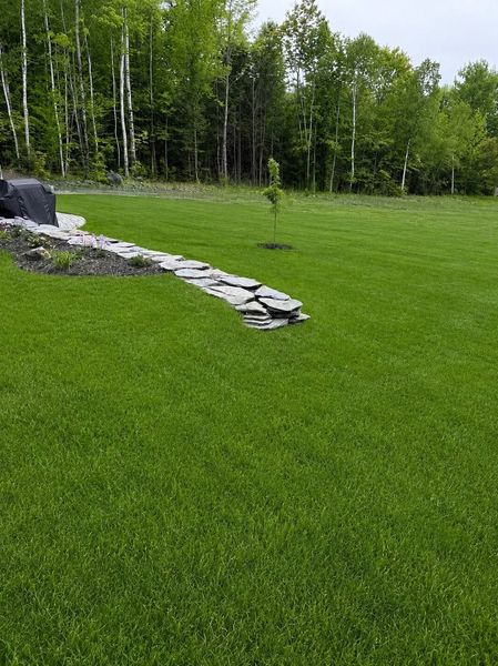 Green lawn with a stone edging beside birch trees and rocks on the left
