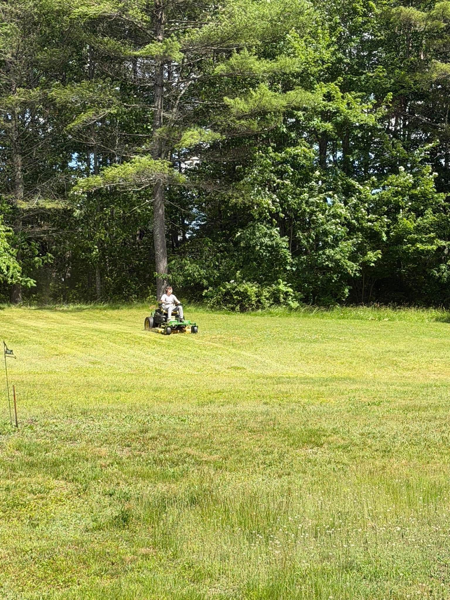 Person seated on a lawn mower in a grassy yard beside dense green trees.