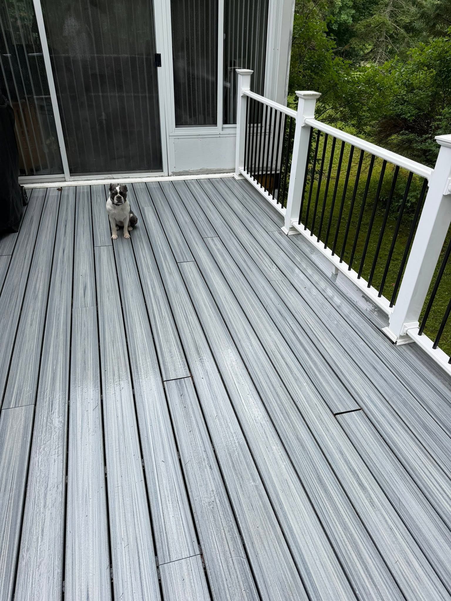 Small dog on a gray wooden deck beside a screened door and white railing.
