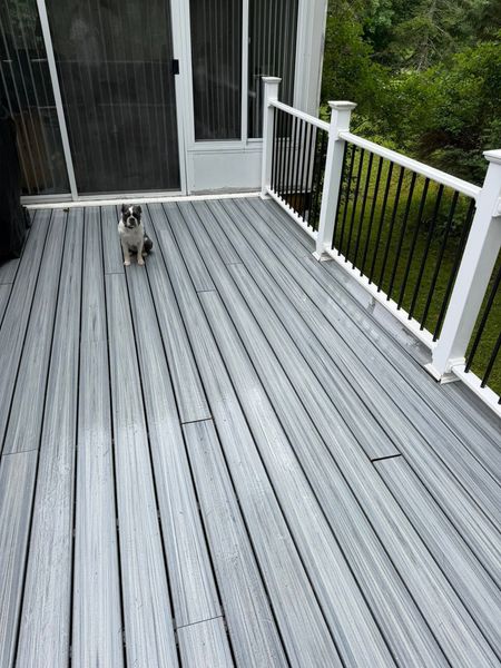Small dog standing on a gray deck near a white door and railing, with a grassy yard beyond.